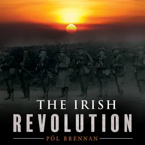 The Irish revolution